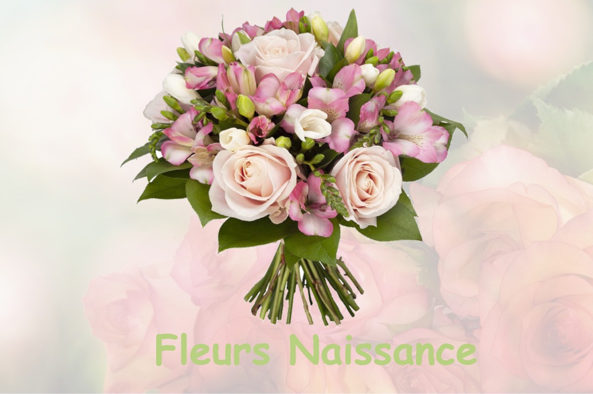 fleurs naissance FLEUREY-LES-LAVONCOURT